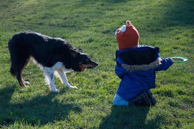 Dog standing on grassy field