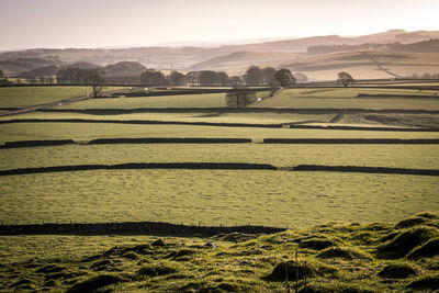 Scenic view of farm against sky