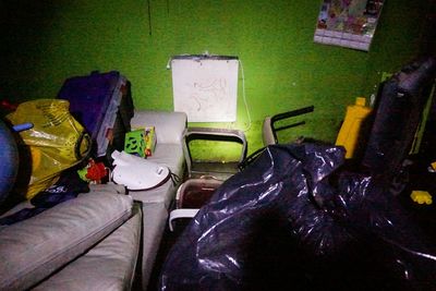 Close-up of tree trunk