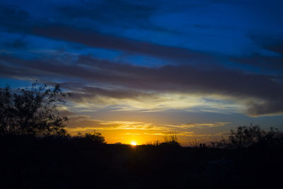 Silhouette of trees at sunset