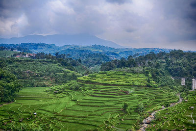 Scenic view of field against cloudy sky