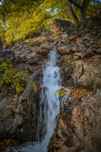 View of waterfall in forest