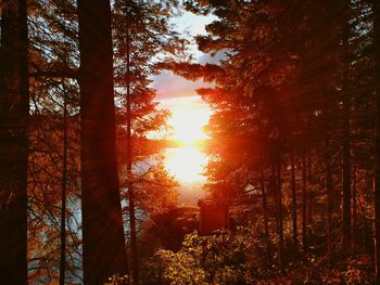 Scenic view of lake at sunset
