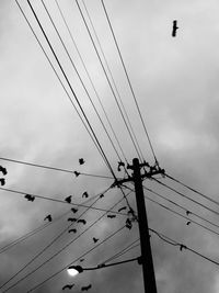 Low angle view of electricity pylon