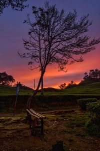 Bare tree on landscape against sky at sunset