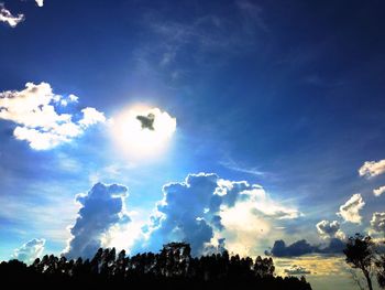 Low angle view of silhouette trees against blue sky