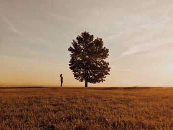 Trees on field against sky