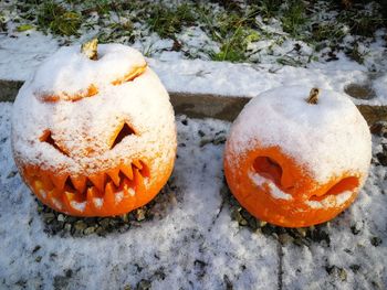 Close-up of pumpkin on beach during winter