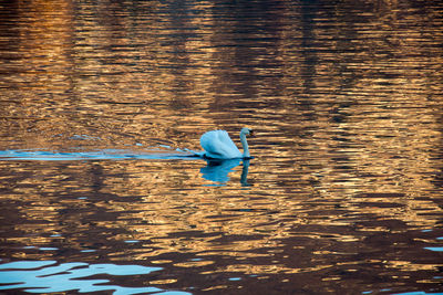 Reflection of man in lake