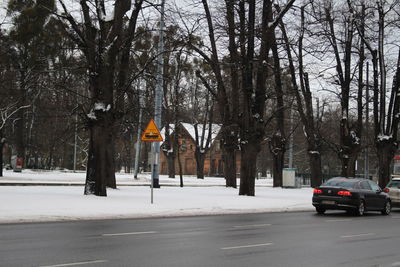 Road in winter