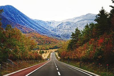 Road amidst trees against mountains during autumn