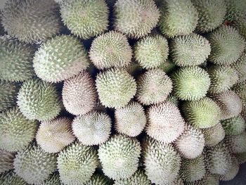 High angle view of durians for sale at market