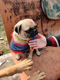 Man holding small dog