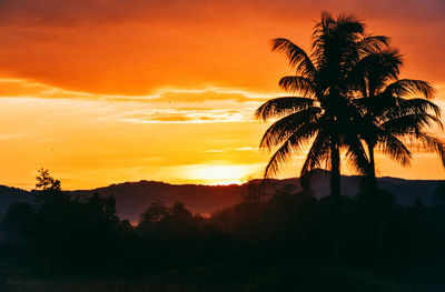 Silhouette palm trees against sky during sunset