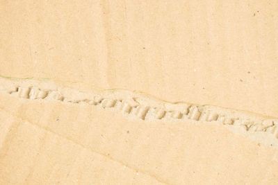 Close-up of footprints on sand at beach