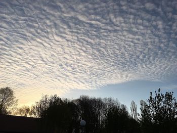 Silhouette of trees against cloudy sky