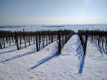 Scenic view of landscape against sky during winter