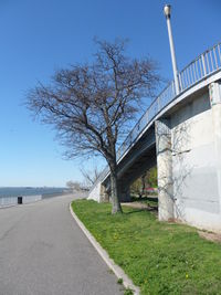 Empty road along trees