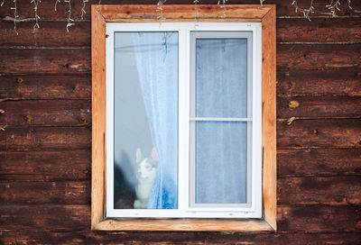 Closed window of a house