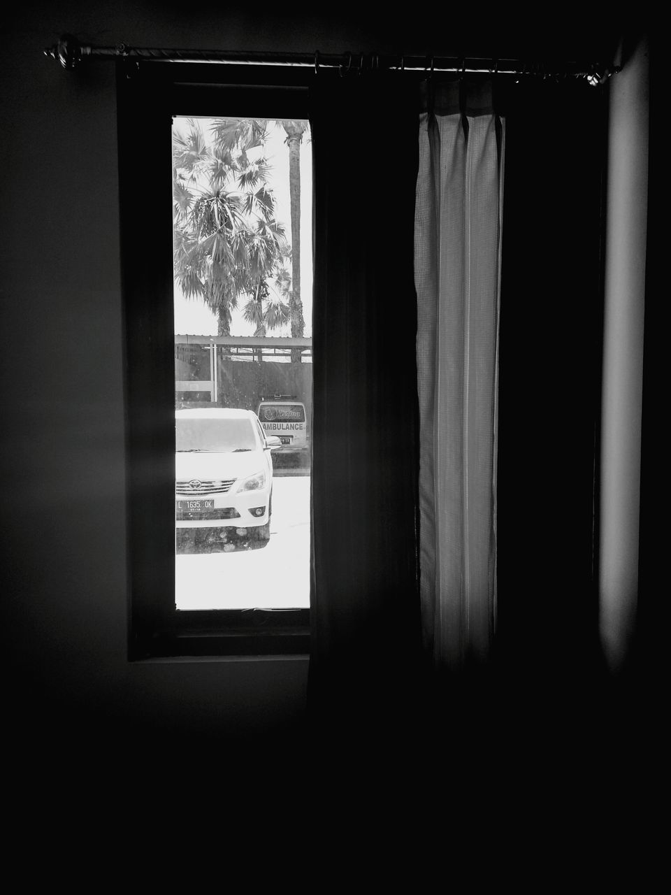 window, curtain, indoors, no people, hanging, looking through window, day, close-up, nature, tree