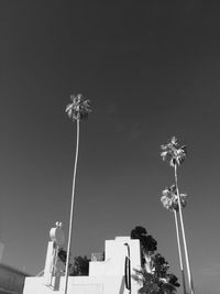 Low angle view of built structure and tall trees against clear sky