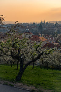 View of town at sunset