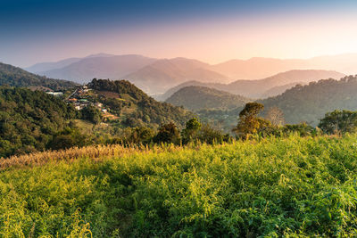 Scenic view of field and mountains against sky