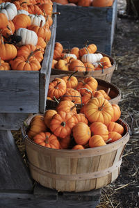 Pumpkins for sale in market