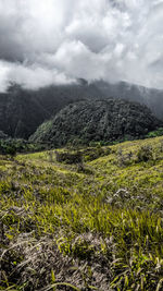 Scenic view of landscape against sky