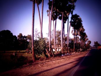 Road by trees against clear sky