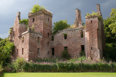 Old castle ruin overgrown with plants