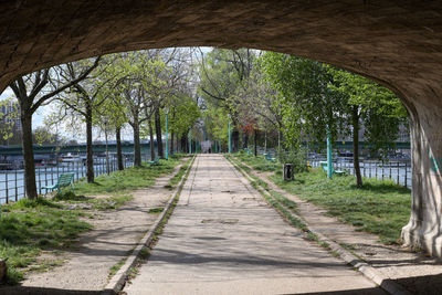 Walkway on the isle of the swans in the middle of the seine river in paris
