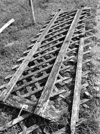 Close-up of wood