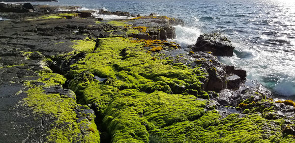 High angle view of rocks by sea