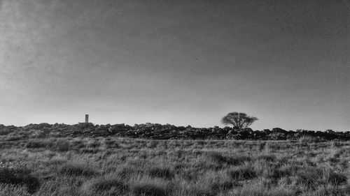 Field against clear sky