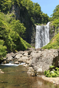 Scenic view of waterfall in forest