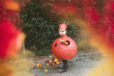 Boy in pumpkin halloween costume playing with maple leaves