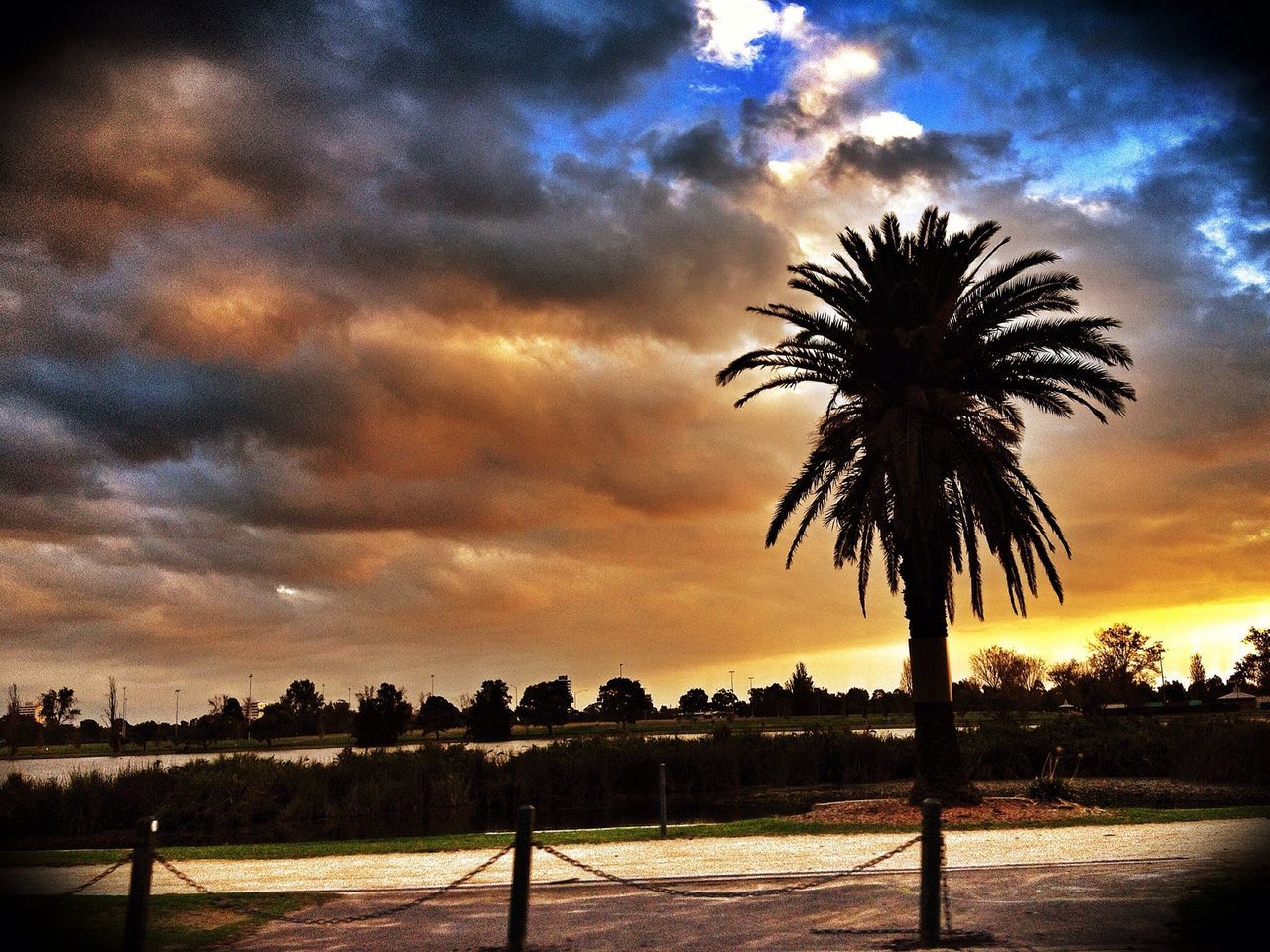 sunset, palm tree, sky, silhouette, cloud - sky, tree, scenics, tranquility, beauty in nature, tranquil scene, cloudy, nature, sea, cloud, water, idyllic, dramatic sky, horizon over water, growth, dusk