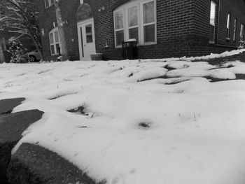 Snow covered houses