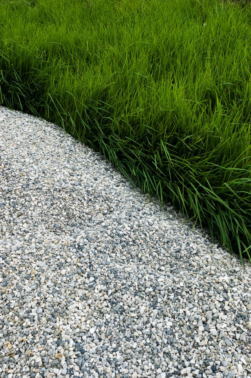 HIGH ANGLE VIEW OF STONE ON FIELD