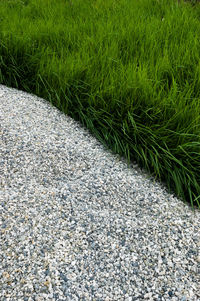 High angle view of stone wall on road