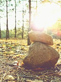 Close-up of stone stack on rock in forest