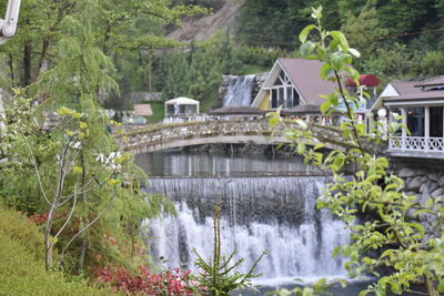 Arch bridge over river amidst trees and buildings