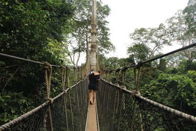 Man standing on footbridge against trees