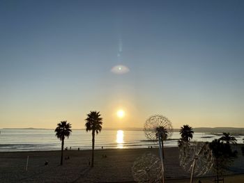 Palm trees on beach against sky during sunset