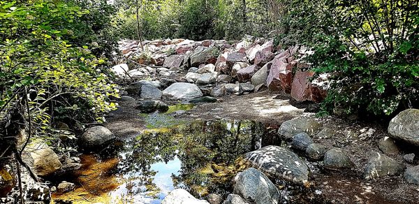 Reflection of trees on rocks