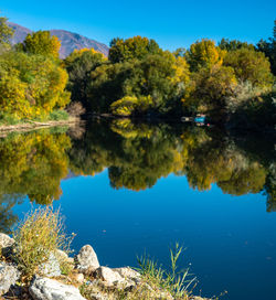 Scenic view of lake by trees during autumn