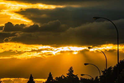 Low angle view of silhouette trees against orange sky