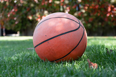 Close-up of ball on field