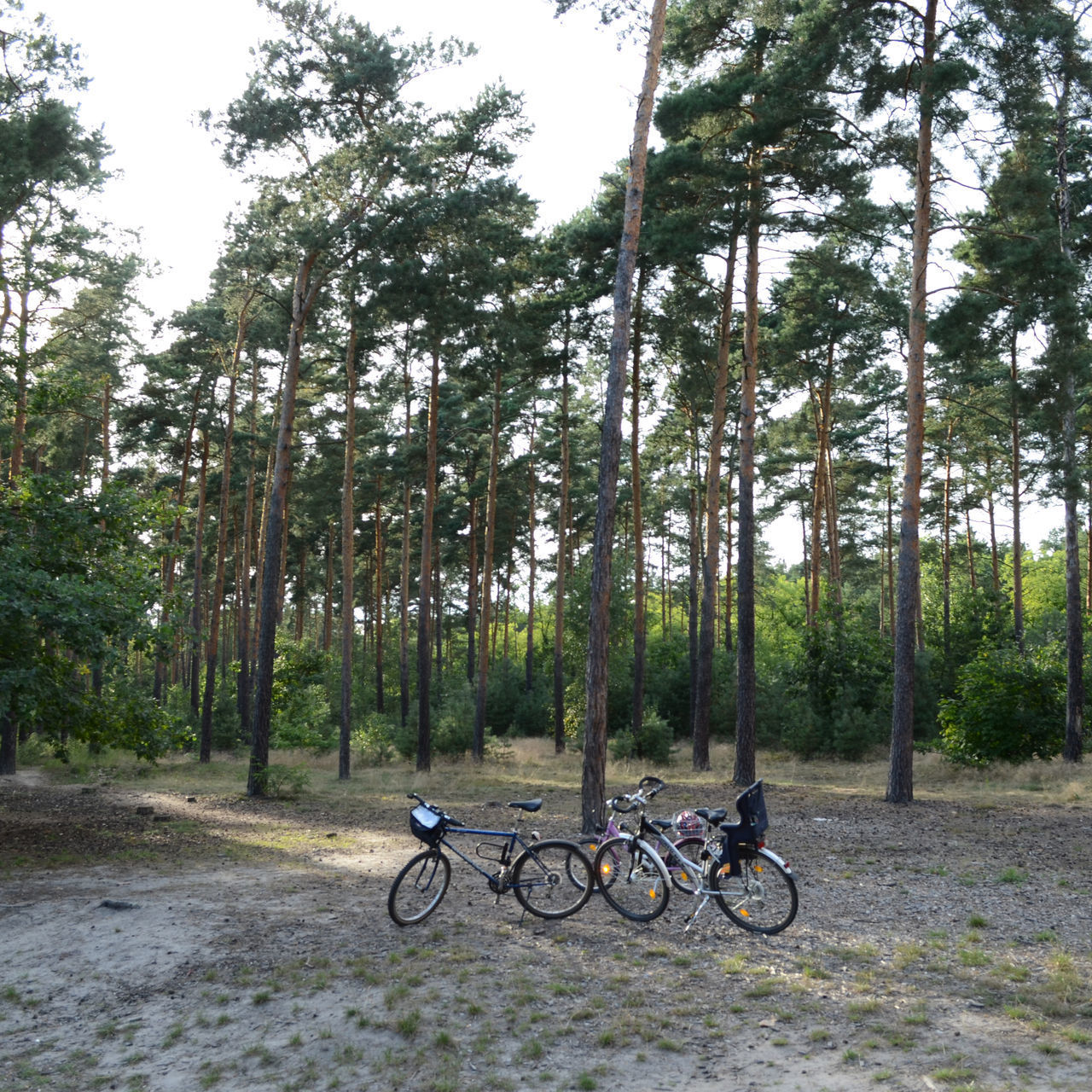 BICYCLE PARKED ON ROAD